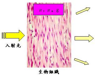 inject the light into cell